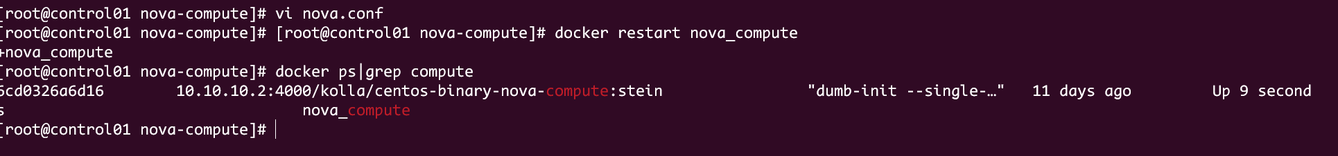 image-20241010203114927