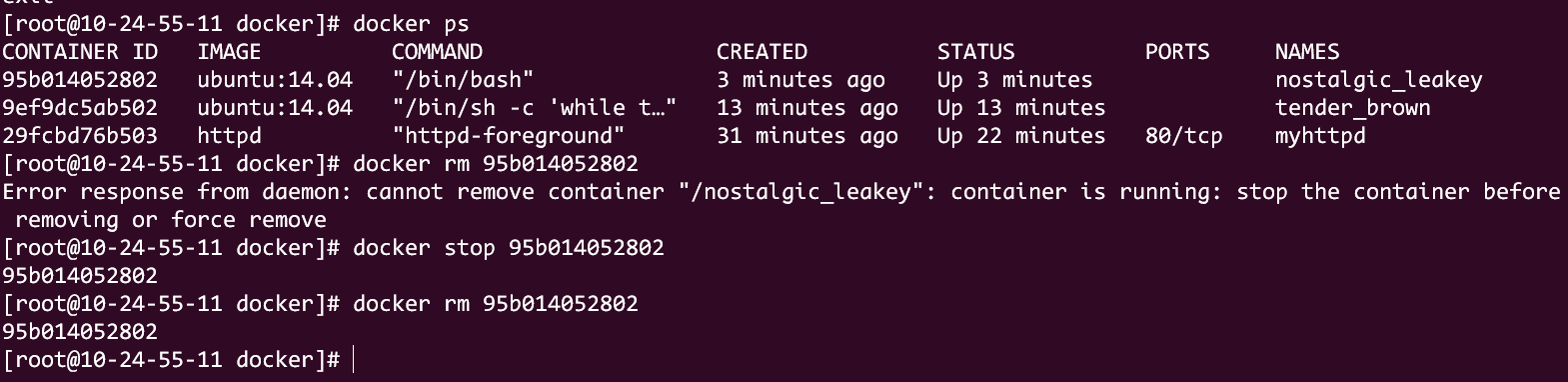 image-20241105100906487